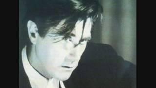 Bryan Ferry - Don't Stop The Dance (Special Instrumental)