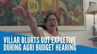 Villar blurts out expletive during Agri budget hearing