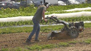 Penn State Student Farm Becomes Source of Food and Student Learning