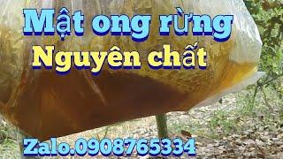 #197. Trải nghiệm lấy mật ong rừng thiên nhiên.experience taking natural forest honey.