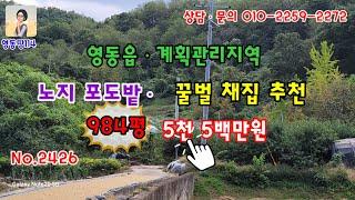 영동읍 계획관리지역 ㆍ마을과 100mㆍ묵힌포도밭 984평ㆍ매매가 5천5백만원