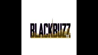 BlackbuzzTO- Two Consulting Group- Nigel Hunter