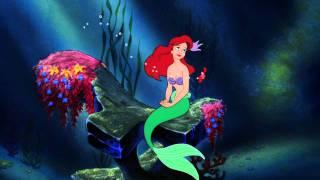 Part of Your World (from The Little Mermaid)