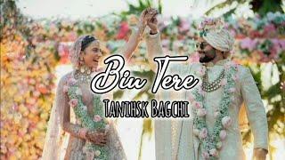 Bin Tere | Rakulpreet Singh ️ Jackky Bhagnani |(Only Lyrics) | Bin Tere Tanishsk Bagchi Lyrics