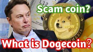 Dogecoin is SCAM coin？狗狗币是诈骗币？「币圈男神」｜87man｜比特币，以太坊，狗狗币｜加密货币