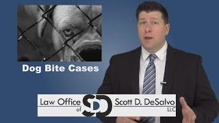 Dog Bite Lawyer - What To Do If You've Been Bitten