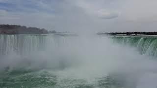 Birds Over Niagara Falls