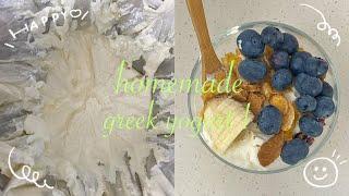 집에서 꾸덕꾸덕한 그릭요거트 만들기🫐 홈메이드 그릭요거트 how to make greek yogurt 그릭요거트 메이커 추천