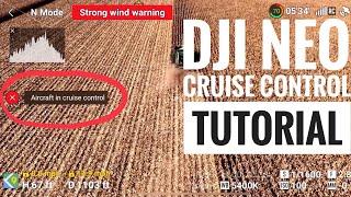 ⁠@DJI NEO Cruise Control Tutorial in High Winds 