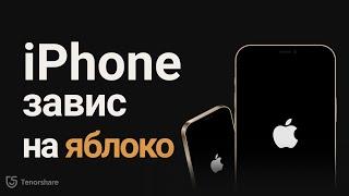 Что делать, если загорается яблоко и гаснет iPhone? 5 Способов в 2023 году