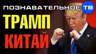 Почему Трамп воюет с Китаем? (Познавательное ТВ, Артём Войтенков)