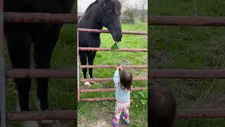 Adorable Girl Feeds Horse