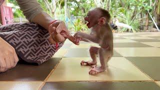 Max Scream Loud Pullinq Mom's Finger To Bring Him Outside