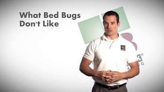 What Bed Bugs Dont Like - Bulwark Exterminating