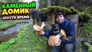 Каменный домик! Собираю белые грибы в Карпатах! Жаркое из белых грибов.