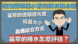 翡翠的種水怎麼看，三個基礎步驟學看翡翠的種水，看完就有概念喔【珠寶鑑定小講堂】