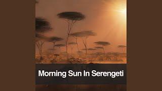 Morning Sun In Serengeti