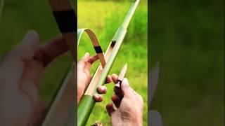 Bamboo Creations with New archer and coca-cola #Bamboo #Diy #Slingshot