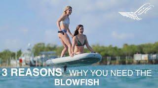 3 REASONS | WHY YOU NEED THE BLOWFISH