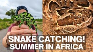 SNAKE CATCHING IN SOUTH AFRICA! PUFF ADDER AND MORE