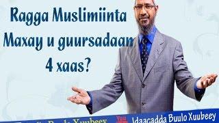 RAGGA MUSLIMIINTA MAXAY U GUURSADAAN AFAR XAAS?