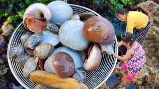 At low tide. We came to the beach and harvested free seafood delicacies