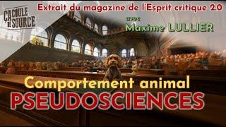 Comportement animal & pseudosciences [Entretien Maxime LULLIER]