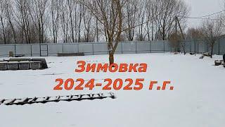 Зимовка 2024-2025 г.г.(10.01.2025)