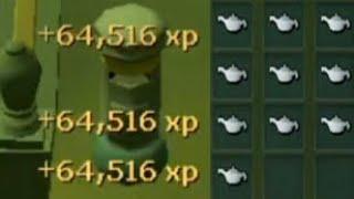 Infinite XP Glitch Gets Ironman 100 Million XP