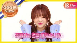 (JP/EN/ES/VI) [Weekly Idol] 러블리즈 케이의 오빠야!! l EP.292