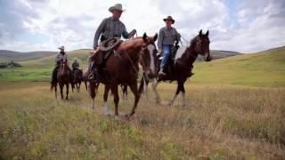 Riding the Range in Southern Alberta, Canada