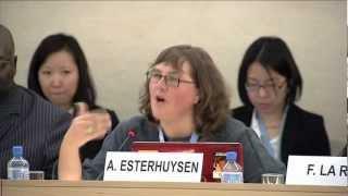 Human Rights Council - Internet Freedom