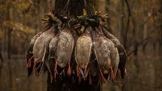 Arkansas Flooded Timber Duck Hunt in a DOWNPOUR!! (6 Limits)