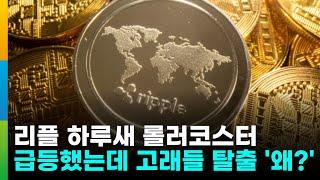 리플(XRP), 하루새 롤러코스터…상승장에 고래들 대규모 매도로 급락