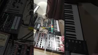 Behringer Grind Bass Monster- JD-08 - SH-01A - Roland P6 Sampler Drums #synthwave #synthpop #music