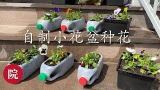 【彬彬有院】花•468废物利用《自制小花盆种花》，环保又省钱//Creative Ideas, Beautiful Flower Pots Made From  Plastic Bottles