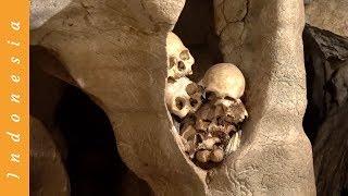 TRAVEL TORAJA, INDONESIA - MASSIVE BURIAL CAVE!