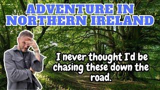 Hiking Adventures - Northern Ireland