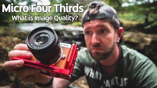 Micro Four Thirds: What is Image Quality?