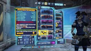 Borderlands 2 - BFF/LBT Mechromancer Lv 61 Build - Friends With Benefits!