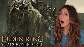 It's So Pretty! | Elden Ring Shadow of the Erdtree DLC (Pt. 1)