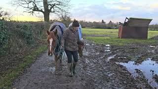 Nicole bringing the boys down from the field