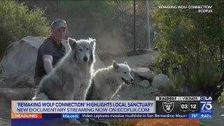 New film explores Wolf Connection animal sanctuary