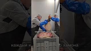 Уже 8 лет вялим вкуснейшие сибирские окорока ️ #хамон #рецепты #производство #мясо #топ #рек