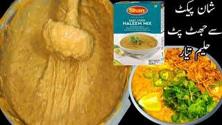 quick & easy beef haleem || packet wali haleem || shan haleem recipe @zareen fatima