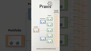 Shorts  Praxis 360 for organisations