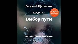 Евгений Щепетнов – Выбор пути. [Аудиокнига]