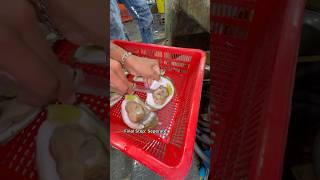 Buying MASSIVE Oysters