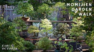 Momiji-En Bonsai Garden Walk - Early Fall Edition