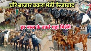 chori bajar Bakra Mandi Faizabad | चौरे बाजार बकरा मंडी ||